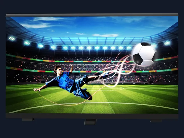 Sports Venues LED display solution